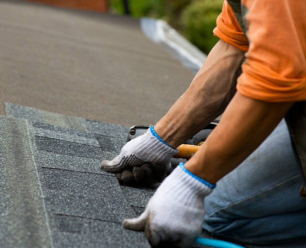 Best Roof Leak Repair  in Abbeville, SC